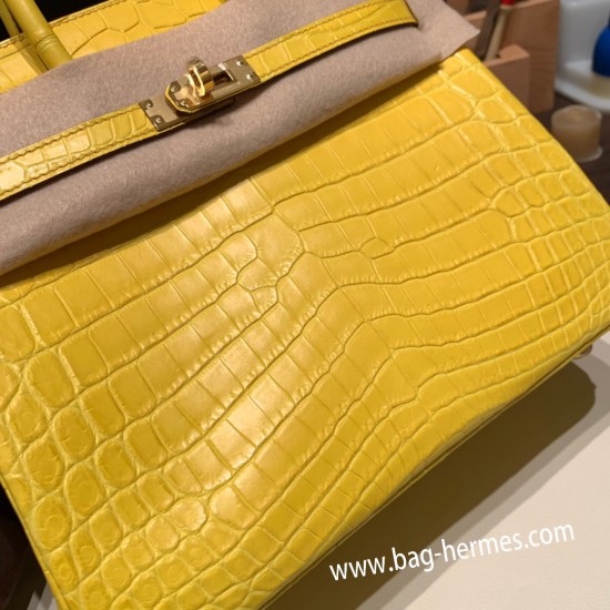 エルメスバーキン 25センチニロティカス Crocodile NiloticusM9 / mimosa ミモザゴールド金具  全手縫いbirkin25-010