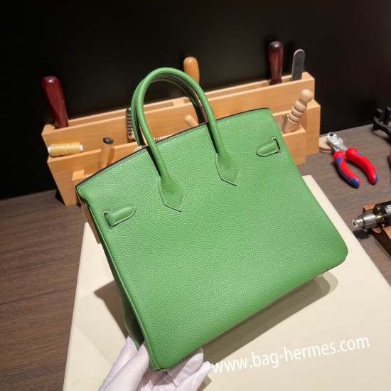 エルメスバーキン 25センチトゴ Togo プルーズ 6G/ PELOUSE シルバー金具 全手縫いbirkin25-102