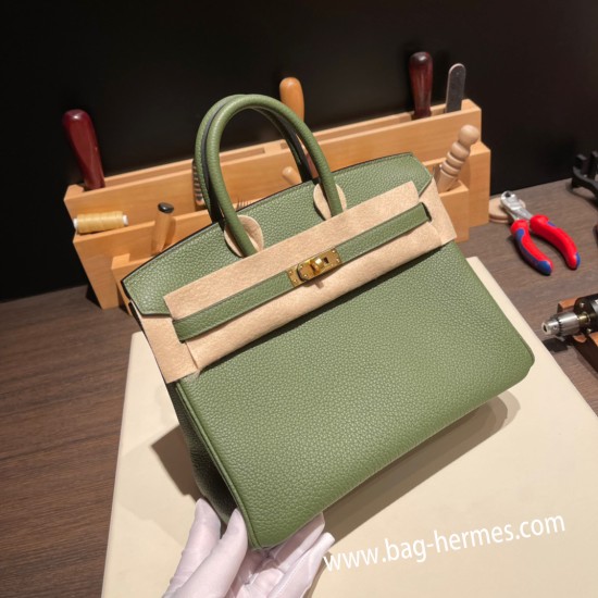 エルメスバーキン 25センチトゴ Togo カノピV6/ Canopeゴールド金具  全手縫いbirkin25-103