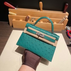 エルメスケリーミニ Kelly bag miniMini Kelly New stock  オーストリッチ ostrich ヴェールヴェルティゴ U4 /Vert Vertigo シルバー金具 kellymini-013 全手縫い