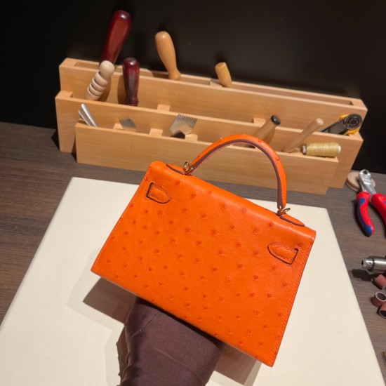 エルメスケリーミニ Kelly bag miniMini Kelly New stock  オーストリッチ ostrich オレンジ 93 /Orange ゴールド金具 kellymini-025 全手縫い