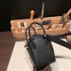 エルメス リンディミニ19 Mini Lindy Clemence トリヨンクレマンス ブラック 89 /Black  ゴールド金具  lindymini-050 全手縫い