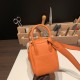 エルメス リンディミニ19 Mini Lindy Clemence トリヨンクレマンス オレンジ 93 /Orange   シルバー金具  lindymini-091 全手縫い